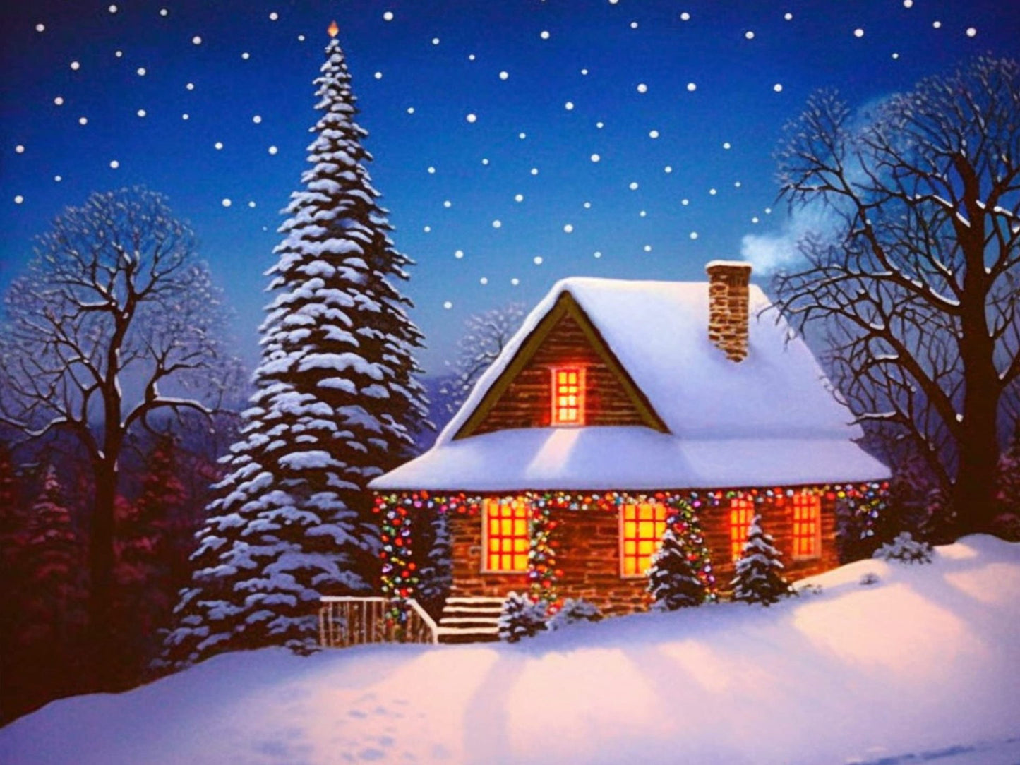40×50cm snowhouse Cross Stitch Kits 11CT Stamped Full Range of Embroidery Starter Kit for Beginners Pre-Printed Pattern