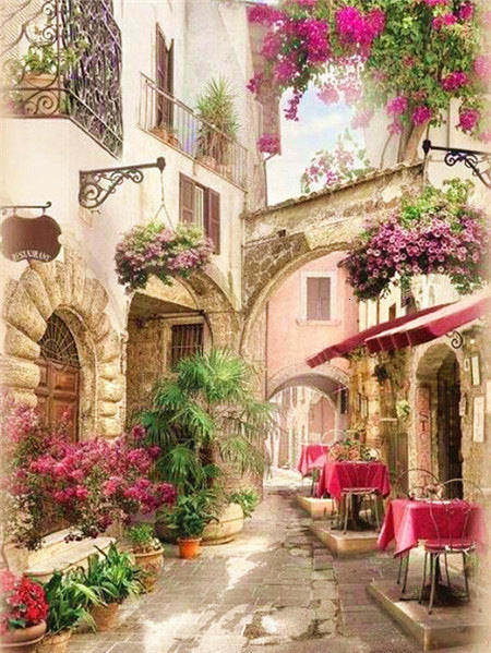 30×40cm townlet Stitch Kits 11CT Stamped Full Range of Embroidery Starter Kit for Beginners Pre-Printed Pattern