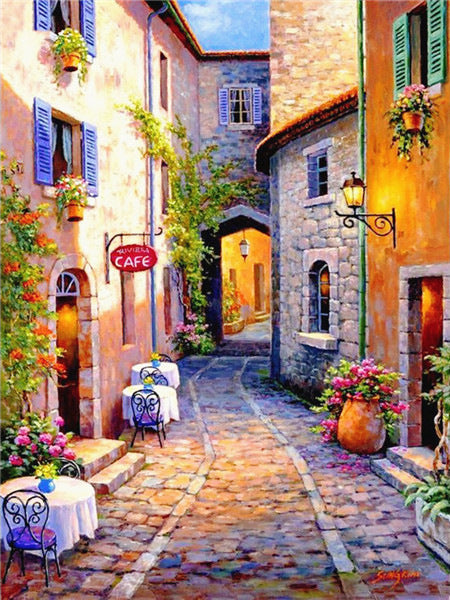 30×40cm townlet Stitch Kits 11CT Stamped Full Range of Embroidery Starter Kit for Beginners Pre-Printed Pattern
