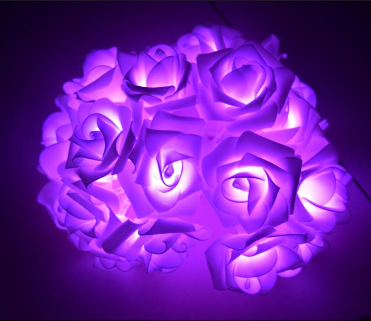 2.5M 20LED Rose Lamp