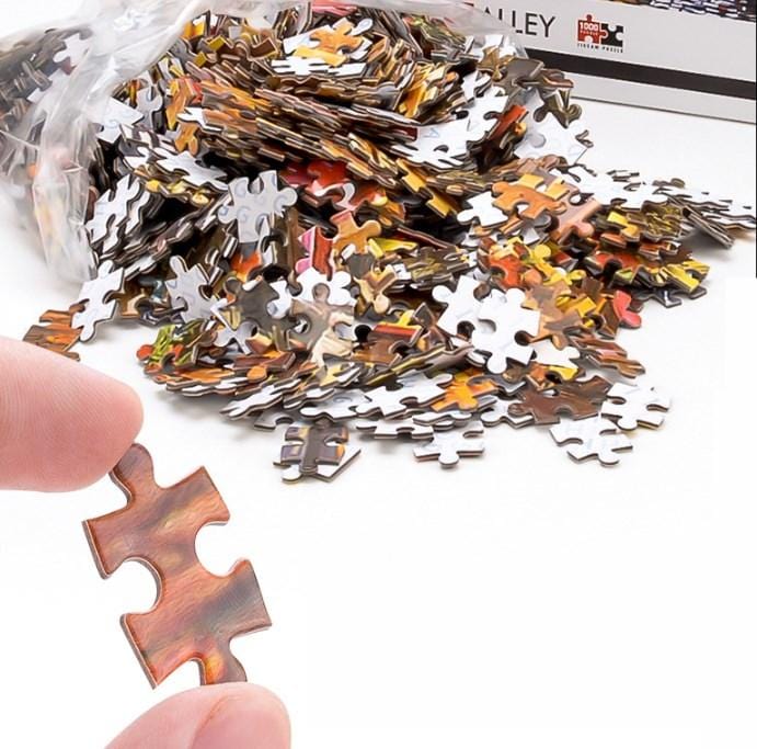 1000 Pieces DIY Adult Puzzle Jigsaw Puzzle Adult Educational Toys Puzzle Toy For Children's Gift-Space Traveler-The Moon