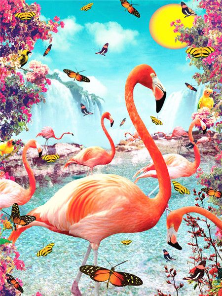 40X50CM Flamingo DIY Oil Painting By Numbers