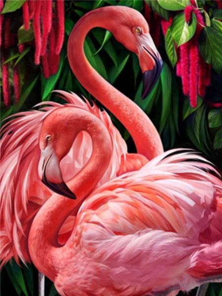 40X50CM Flamingo DIY Oil Painting By Numbers