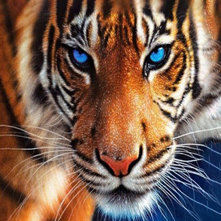 30x40CM  tiger 5D Full Diamond Painting DIY Pictures  NO FRAME M3173