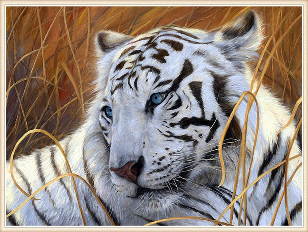 30x40CM  tiger 5D Full Diamond Painting DIY Pictures  NO FRAME M3173