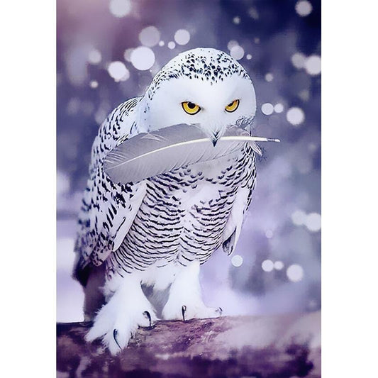 40x50CM White Owl 5D Full Diamond Painting NO Frame