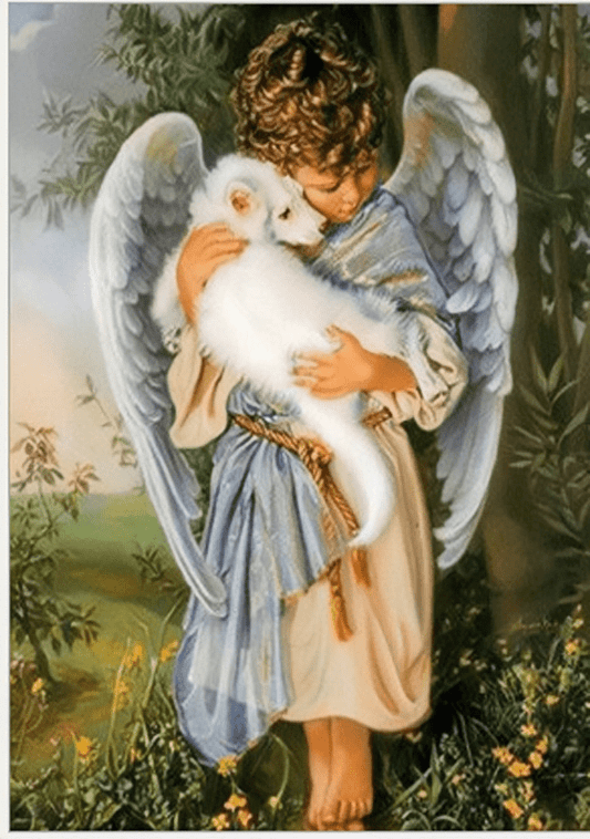 30x40CM-Angel- DIY 5D full Diamond Painting M5976