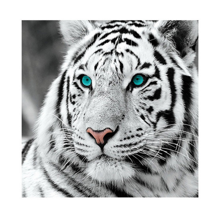 60x60cm white Tiger 5d diy diamond painting full drill NO FRAME