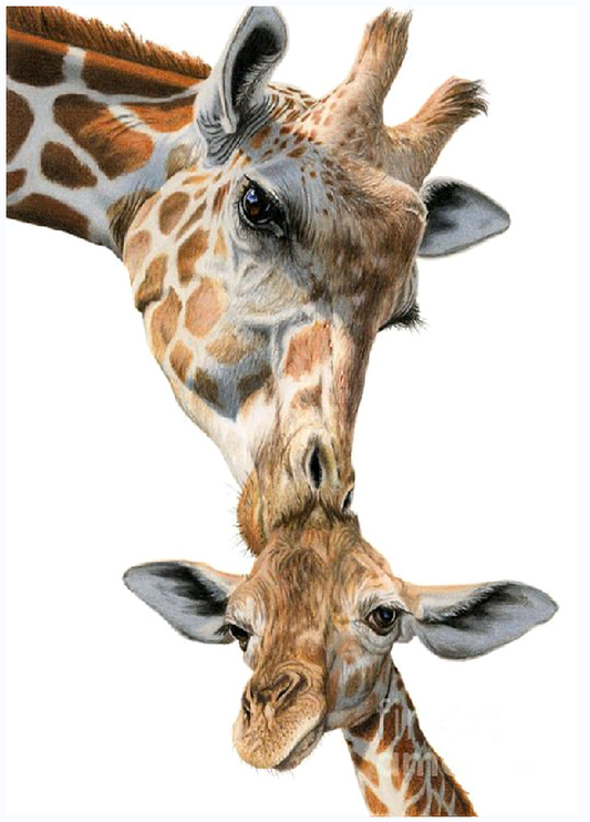 40X30cm-Giraffe 5D Diamond Painting Kits NO FRAME A345