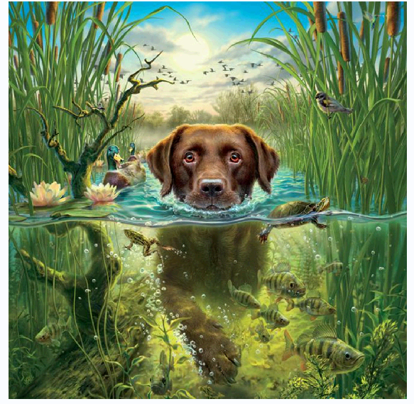 30X30cm-DOG 5D Diamond Painting Kits NO FRAME A452