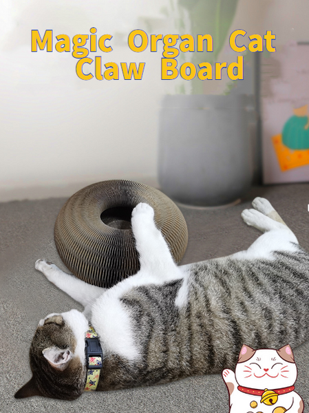 Magic Organ Cat Claw Board