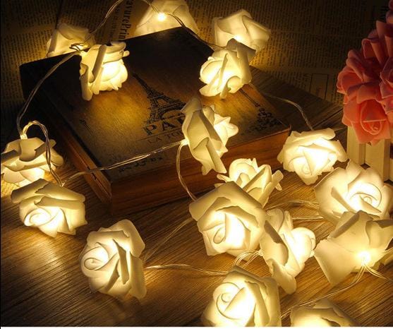 2.5M 20LED Rose Lamp