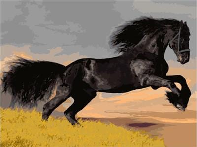 Horse No Framed DIY Oil Painting By Numbers Canvas Wall Art For Living Room Home Decor 40*50CM