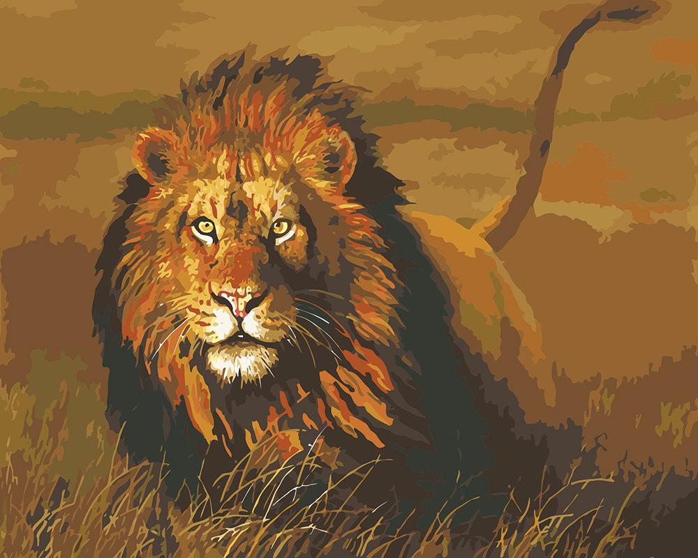 No Framed DIY Oil Painting By Numbers Canvas Wall Art For Living Room Home Decor 40*50CM--Grassland lion