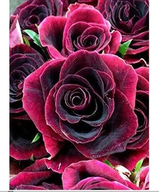 40x50cm Red Rose 5d diy diamond painting full drill NO FRAME