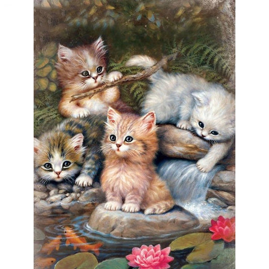 70x90CM - Cute Cat DIY 5D full Diamond Painting no frame