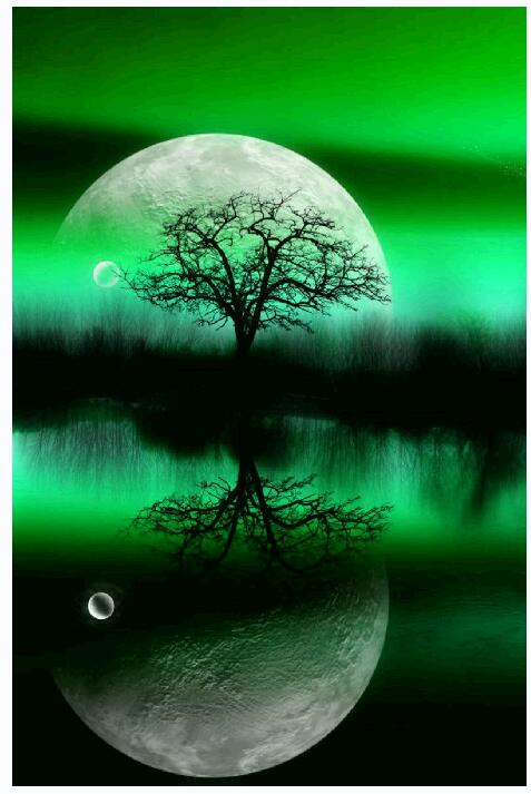 25CMX35CM-5D Diamond Painting DIY Pictures-Moon A024