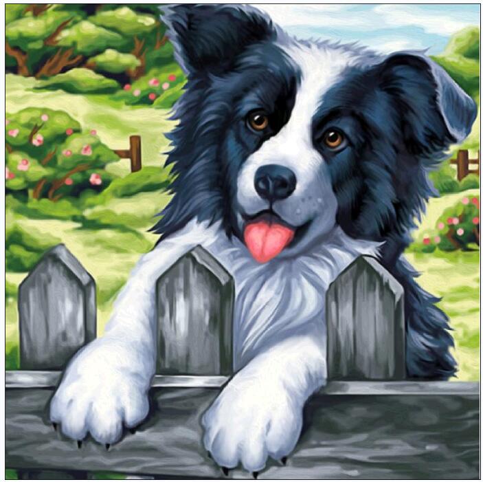 25CMX25CM-dog 5D Diamond Painting DIY Pictures-A272