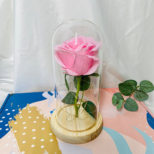 PINK Rose-Beauty and Beast Rose Flower with LED