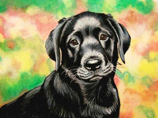 40x50cm Dog & cat 5d diy diamond painting full drill NO FRAME