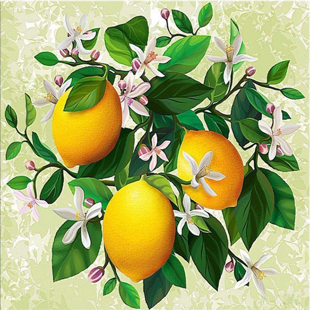 30X30CM-Lemon-Home Decoration DIY 5D full Diamond Painting WLL413