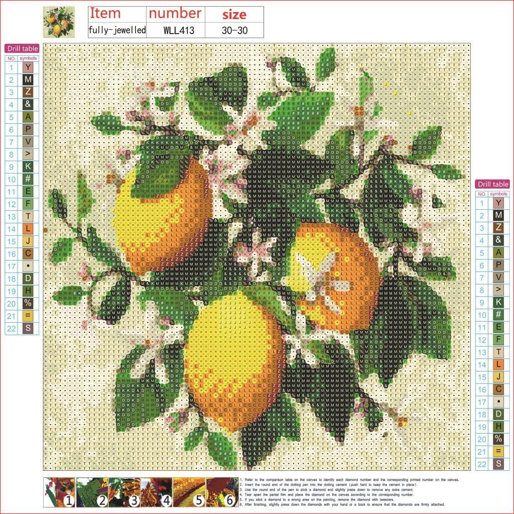 50X50CM-Lemon-Home Decoration DIY 5D full Diamond Painting R0465