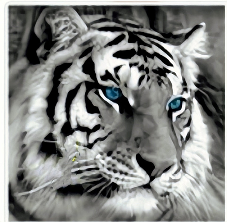 60x60CM-White tiger- DIY 5D full Diamond Painting